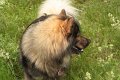faro_besuch (14)